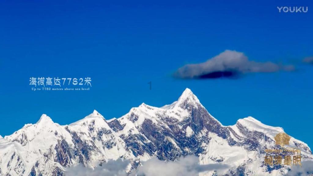 可爱的女生解救